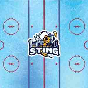 50" x 60" Sting Blanket